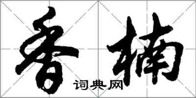 胡问遂香楠行书怎么写