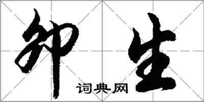 胡问遂卯生行书怎么写