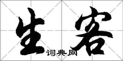 胡问遂生客行书怎么写