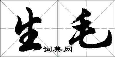 胡问遂生毛行书怎么写