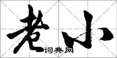 胡问遂老小行书怎么写