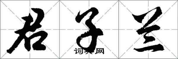 胡问遂君子兰行书怎么写