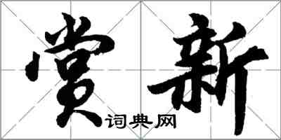 胡问遂赏新行书怎么写