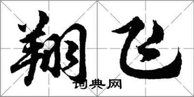 胡问遂翔飞行书怎么写