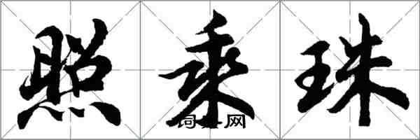 胡问遂照乘珠行书怎么写