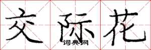 庞中华交际花楷书怎么写