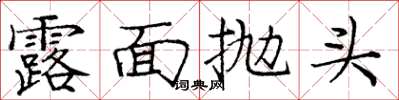 庞中华露面抛头楷书怎么写