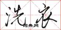 骆恒光洗衣行书怎么写