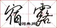 骆恒光宿露行书怎么写
