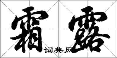 胡问遂霜露行书怎么写