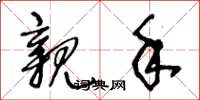 王冬龄亲手草书怎么写