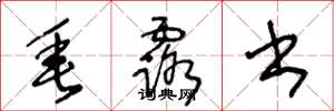 王冬龄垂露书草书怎么写