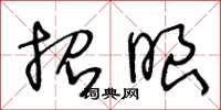 王冬龄招眼草书怎么写