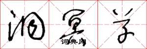 王冬龄洞冥草草书怎么写