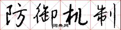 钱沛云防御机制行书怎么写