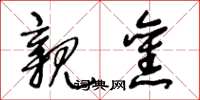 王冬龄亲旧草书怎么写