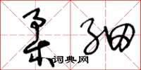 王冬龄柔细草书怎么写