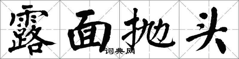翁闿运露面抛头楷书怎么写