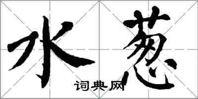 翁闿运水葱楷书怎么写