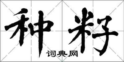 翁闿运种籽楷书怎么写