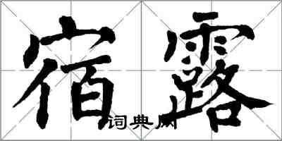 翁闿运宿露楷书怎么写