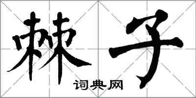 翁闿运棘子楷书怎么写