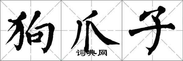 翁闿运狗爪子楷书怎么写
