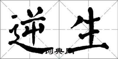 翁闿运逆生楷书怎么写