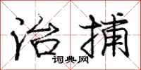 庞中华治捕行书怎么写