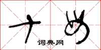 王冬龄十母草书怎么写