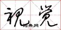 王冬龄视觉草书怎么写
