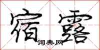 庞中华宿露行书怎么写