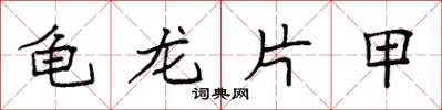 袁强龟龙片甲楷书怎么写