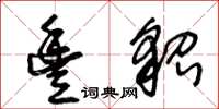 王冬龄丰貂草书怎么写