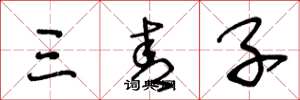 王冬龄三青子草书怎么写