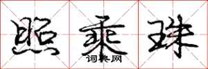 庞中华照乘珠行书怎么写