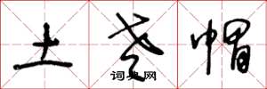 王冬龄土老帽草书怎么写