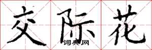 丁谦交际花楷书怎么写
