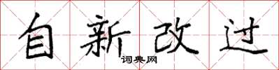 袁强自新改过楷书怎么写