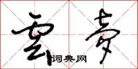 王冬龄云梦草书怎么写