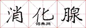 袁强消化腺楷书怎么写
