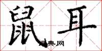 丁谦鼠耳楷书怎么写