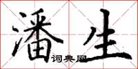 丁谦潘生楷书怎么写
