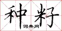 丁谦种籽楷书怎么写