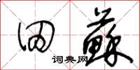 王冬龄田苏草书怎么写