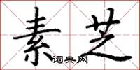 丁谦素芝楷书怎么写