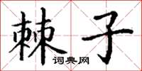 丁谦棘子楷书怎么写