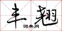 曾庆福丰翘行书怎么写