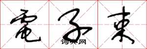王冬龄电子束草书怎么写
