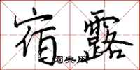 曾庆福宿露行书怎么写